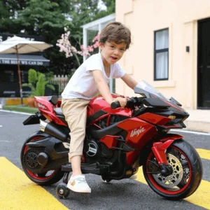 Electric Bikes