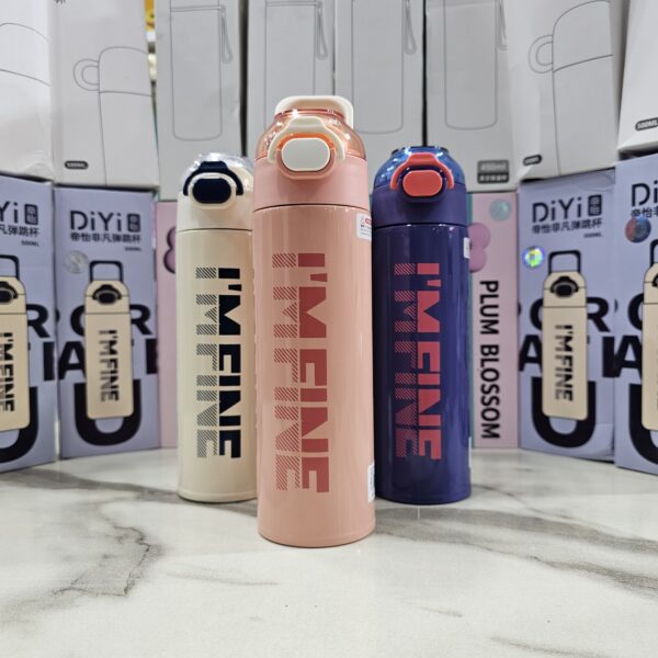 Hot & Cold Water Bottle - Image 3