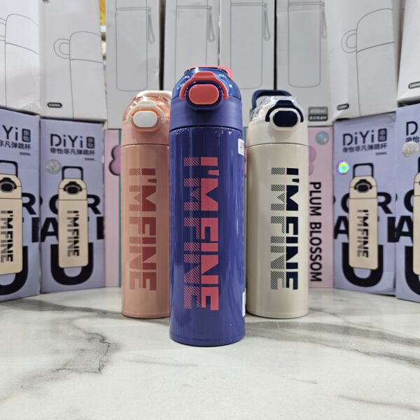 Hot & Cold Water Bottle - Image 2